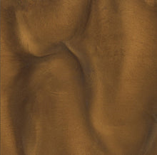 Load image into Gallery viewer, Pearl 4 Oz.  Shipwreck Metallics 1150
